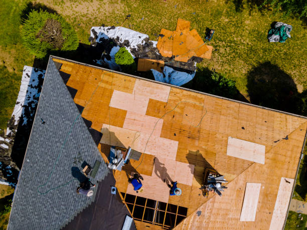 Best Storm Damage Roof Repair  in Princeton, MO