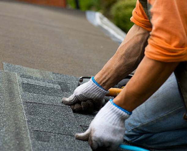Best Roof Gutter Cleaning  in Princeton, MO